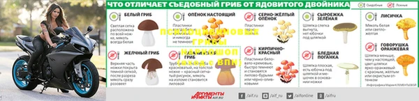 ПСИЛОЦИБИНОВЫЕ ГРИБЫ Кукмор