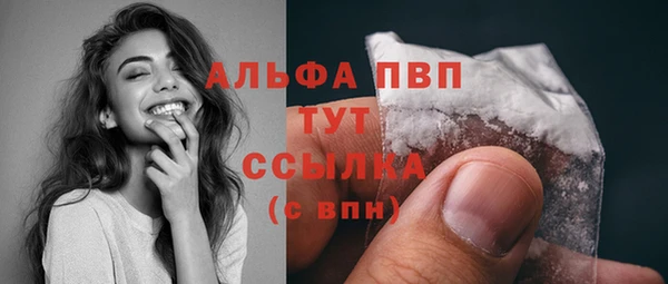ПСИЛОЦИБИНОВЫЕ ГРИБЫ Кукмор
