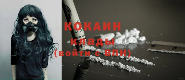 ПСИЛОЦИБИНОВЫЕ ГРИБЫ Кукмор