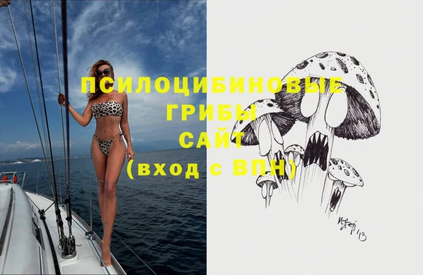 ПСИЛОЦИБИНОВЫЕ ГРИБЫ Кукмор