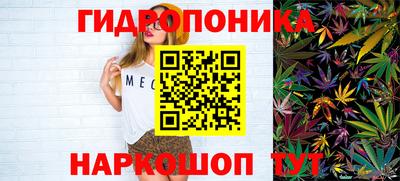 шишки Рыбинск