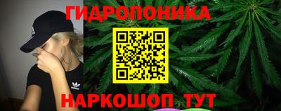 шишки Рыбинск