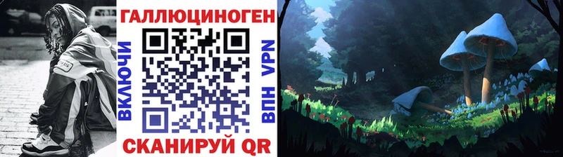 kraken   где купить   Мценск  Галлюциногенные грибы MAGIC MUSHROOMS 